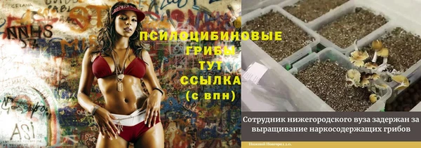 синтетический гашиш Михайловка