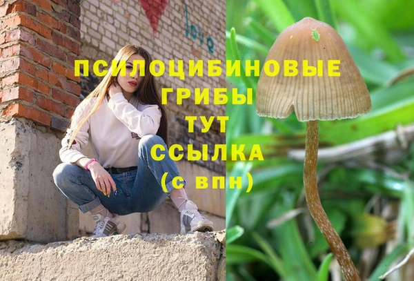 a pvp Михайловск