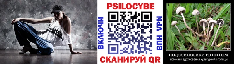 Галлюциногенные грибы GOLDEN TEACHER  Иланский 